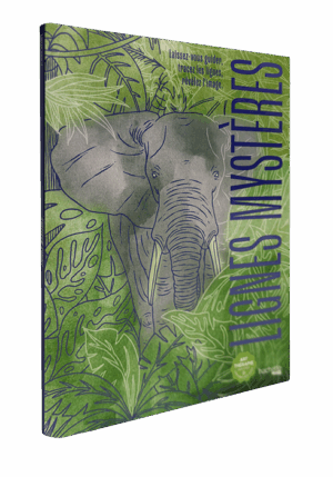 קווים מסתוריים