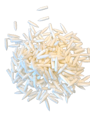 ראשי טוש להחלפה